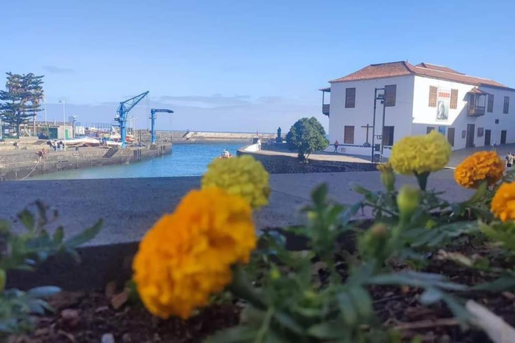 Centrico Y Encantador Estudio En Puerto De La Cruz Exterior foto